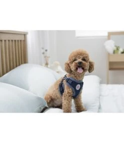 Pinkaholic Pinkaholic Niki Harness Model C Purple 9 Pinkaholic Pinkaholic Niki Harness Model C Purple -Hondenmode pinkaholic niki harness model c purple 3