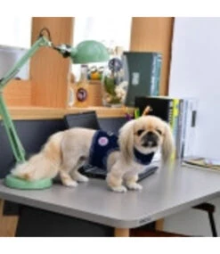 Pinkaholic Pinkaholic Niki Pinka Harness Navy 9 Pinkaholic Pinkaholic Niki Pinka Harness Navy -Hondenmode pinkaholic niki pinka harness navy 3