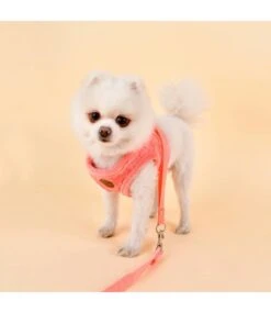 Pinkaholic Pinkaholic Polina Harness Q Hot Pink -Hondenmode pinkaholic polina harness q hot pink 5