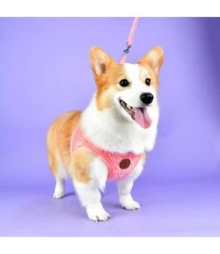 Pinkaholic Pinkaholic Polina Harness Q Hot Pink -Hondenmode pinkaholic polina harness q hot pink 6