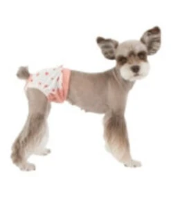 Pinkaholic Pinkaholic Sanitary Pawsh Orange -Hondenmode pinkaholic sanitary pawsh orange 3