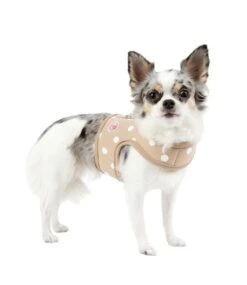 Pinkaholic Pinkaholic Sassa Pinka Harness Beige -Hondenmode pinkaholic sassa pinka harness beige 3
