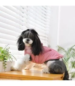 Pinkaholic Pinkaholic Tintin Jacket Harness Indian Pink -Hondenmode pinkaholic tintin jacket harness indian pink 3