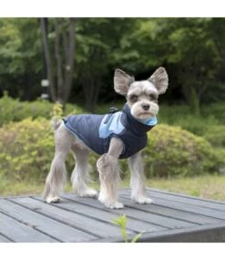 Pinkaholic Pinkaholic Tintin Jacket Harness Navy -Hondenmode pinkaholic tintin jacket harness navy 3