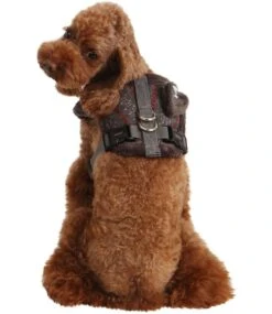 Pinkaholic Pinkaholic Twilight Snugfit Harness Grey 9 Pinkaholic Pinkaholic Twilight Snugfit Harness Grey -Hondenmode pinkaholic twilight snugfit harness grey 2