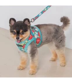 Puppia Puppia Alyssa Vest Harness Model B Aqua 8 Puppia Puppia Alyssa Vest Harness Model B Aqua -Hondenmode puppia alyssa vest harness model b aqua 2