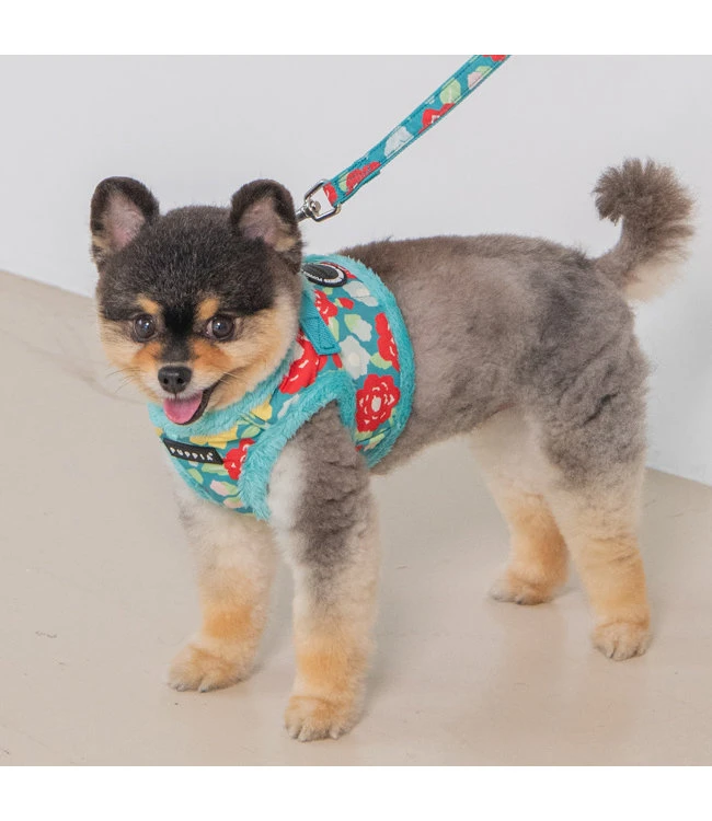 Puppia Puppia Alyssa Vest Harness Model B Aqua 5 Puppia Puppia Alyssa Vest Harness Model B Aqua - Afbeelding 3