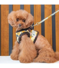 Puppia Puppia Alyssa Vest Harness Model B Brown -Hondenmode puppia alyssa vest harness model b brown 2