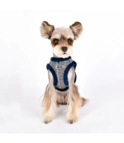Puppia Puppia Auden Harness Model B Blue -Hondenmode puppia auden harness model b blue 4