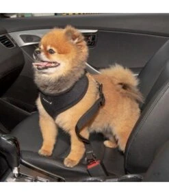 Puppia Puppia Autogordel Black -Hondenmode puppia autogordel black 1