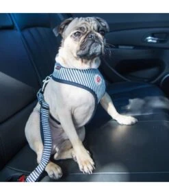 Puppia Puppia Autogordel Bobby Striped Navy -Hondenmode puppia autogordel bobby striped navy 1