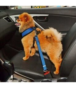 Puppia Puppia Autogordel Royal Blue -Hondenmode puppia autogordel royal blue 1