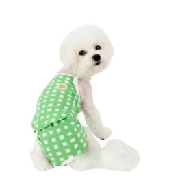 Puppia Puppia Ava Sanitary Panty Green -Hondenmode puppia ava sanitary panty green 3
