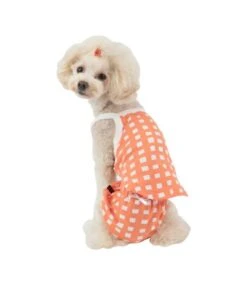 Puppia Puppia Ava Sanitary Panty Orange -Hondenmode puppia ava sanitary panty orange 3