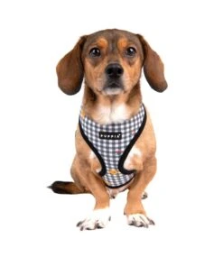 Puppia Puppia Baba Harness Model A Black -Hondenmode puppia baba harness model a black 7