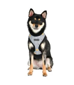 Puppia Puppia Baba Harness Model A Black -Hondenmode puppia baba harness model a black 8