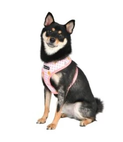Puppia Puppia Baba Harness Model A Indian Pink -Hondenmode puppia baba harness model a indian pink 6