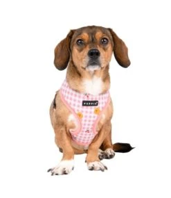 Puppia Puppia Baba Harness Model A Indian Pink -Hondenmode puppia baba harness model a indian pink 7