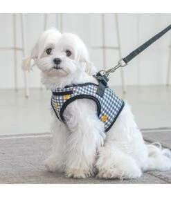 Puppia Puppia Baba Vest Harness Model B Black -Hondenmode puppia baba vest harness model b black 8