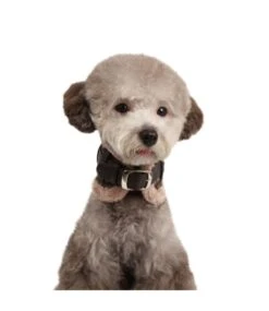 Puppia Puppia Barron Halsband Grey 7 Puppia Puppia Barron Halsband Grey -Hondenmode puppia barron halsband grey 2