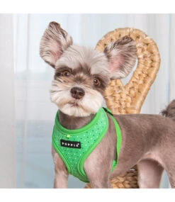Puppia Puppia Bonnie Harness Model A Green -Hondenmode puppia bonnie harness model a green 3