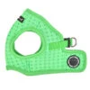 Puppia Puppia Bonnie Harness Model B Green -Hondenmode puppia bonnie harness model b green