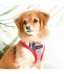 Puppia Puppia Caiden Harness Model A Red -Hondenmode puppia caiden harness model a red 2