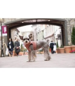 Puppia Puppia Classy Harness Model B Peach -Hondenmode puppia classy harness model b peach 3