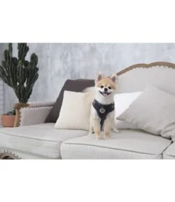 Puppia Puppia Classy Harness Model C Dark Grey 9 Puppia Puppia Classy Harness Model C Dark Grey -Hondenmode puppia classy harness model c dark grey 3