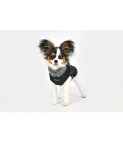 Puppia Puppia Donavan Jacket Harness Black 13 Puppia Puppia Donavan Jacket Harness Black -Hondenmode puppia donavan jacket harness black 3