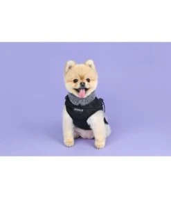 Puppia Puppia Donavan Jacket Harness Black 14 Puppia Puppia Donavan Jacket Harness Black -Hondenmode puppia donavan jacket harness black 4