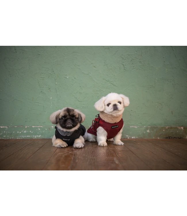 Puppia Puppia Donavan Jacket Harness Black 8 Puppia Puppia Donavan Jacket Harness Black - Afbeelding 6