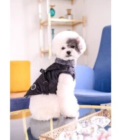 Puppia Puppia Donavan Jacket Harness Black 17 Puppia Puppia Donavan Jacket Harness Black -Hondenmode puppia donavan jacket harness black 7