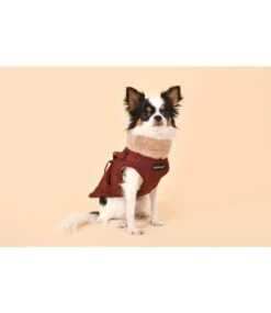 Puppia Puppia Donavan Jacket Harness Wine -Hondenmode puppia donavan jacket harness wine 5
