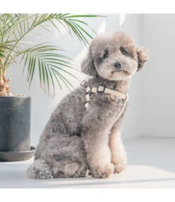 Puppia Puppia Egon Harness X Plus Beige -Hondenmode puppia egon harness x plus beige 2