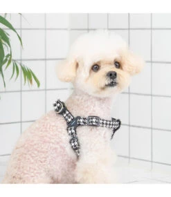 Puppia Puppia Egon Harness X Plus Black -Hondenmode puppia egon harness x plus black 2