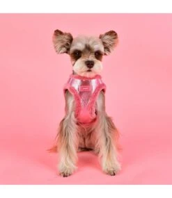 Puppia Puppia Evon Vest Harness Model B Pink (ALLEEN XL) -Hondenmode puppia evon vest harness model b pink alleen xl 4