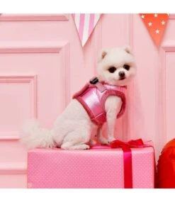 Puppia Puppia Evon Vest Harness Model B Pink (ALLEEN XL) -Hondenmode puppia evon vest harness model b pink alleen xl 6