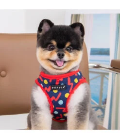 Puppia Puppia Fete Harness Model A Red -Hondenmode puppia fete harness model a red 2