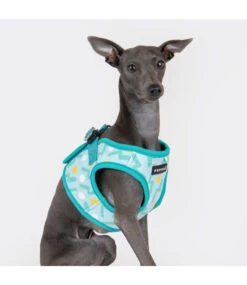 Puppia Puppia Fete Vest Harness Model B Aqua -Hondenmode puppia fete vest harness model b aqua 2
