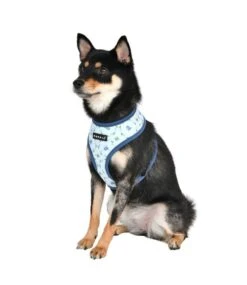 Puppia Puppia Florian Harness Model A Blue -Hondenmode puppia florian harness model a blue 6
