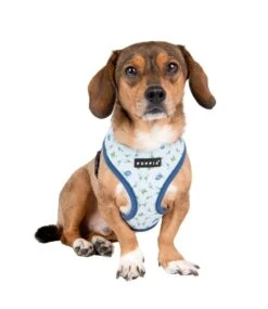 Puppia Puppia Florian Harness Model A Blue -Hondenmode puppia florian harness model a blue 7