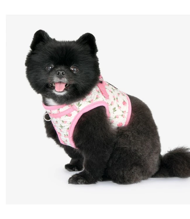 Puppia Puppia Florian Vest Harness Model B Pink 9 Puppia Puppia Florian Vest Harness Model B Pink - Afbeelding 7