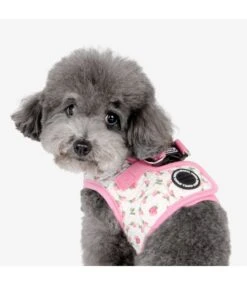 Puppia Puppia Florian Vest Harness Model B Pink 19 Puppia Puppia Florian Vest Harness Model B Pink -Hondenmode puppia florian vest harness model b pink 7