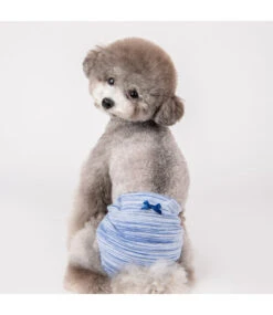 Puppia Puppia Florine Sanitary Panty Blue -Hondenmode puppia florine sanitary panty blue 2