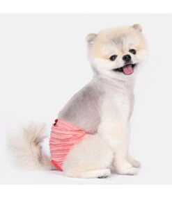 Puppia Puppia Florine Sanitary Panty Red -Hondenmode puppia florine sanitary panty red 2