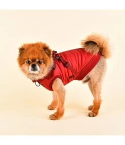 Puppia Puppia Frost Jacket Harness Wine -Hondenmode puppia frost jacket harness wine 3