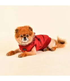 Puppia Puppia Frost Jacket Harness Wine -Hondenmode puppia frost jacket harness wine 4