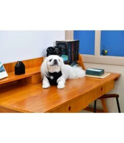 Puppia Puppia Gia Harness Model C Black -Hondenmode puppia gia harness model c black 3