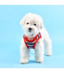 Puppia Puppia Harness B Rowdy Red -Hondenmode puppia harness b rowdy red 5